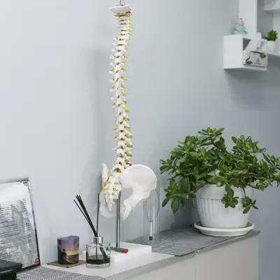 view therapy salon
